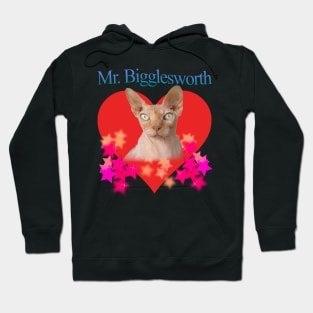 Mr. Bigglesworth (Dr Evils Cat) Tribute Hoodie